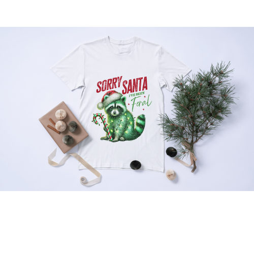 Sorry Santa T-shirt